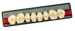 Зубы искусственные акриловые Premium 8 цвет В1 фасон M верх (0001) PR8B1M