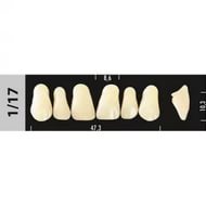 MAJOR SUPER LUX зубы искусственные, фронтальные, 6 шт.