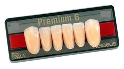 Зубы искусственные акриловые Premium 6 цвет В1 фасон O2 верх (0003) PR6B1О2