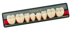 Зубы искусственные акриловые Premium 8 цвет В1 фасон XS верх (0001) PR8B1XS