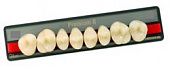 Зубы искусственные акриловые Premium 8 цвет В1 фасон S верх (0001) PR8B1S