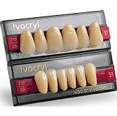 Зубы  искусственные IVOCRYL фронтальные,  верхняя челюсть, цвет BL4, фасон 34  уп/6шт 630743
