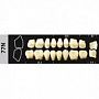MAJOR SUPER LUX зубы искусственные, фронтальные + жевательные (28 шт.)