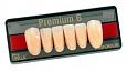 Зубы искусственные акриловые Premium 6 цвет В1 фасон L12 низ (0001) PR6B1L12