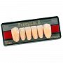 Зубы искусственные акриловые Premium 8 цвет A2 фасон S верх (0009) PR8A2S