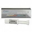 ADSEAL (АДСИЛ) пломбировочный материал для корневых каналов, 13,5 г. ADSEAL (АДСИЛ) пломбировочный материал для корневых каналов, 13,5 г.
