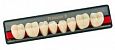 Зубы искусственные акриловые Premium 8 цвет В2 фасон ML низ (0001) PR8B2ML