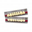 Зубы GLORIA NEV ACE 28шт полн.гарн. фронт New Ace Т2, бок. Naperce М30, цвет A1, YAMAHACHI