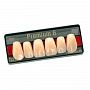 Зубы искусственные акриловые Premium 6 цвет В1 фасон T4 верх (0002) PR6B1T4