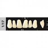 MAJOR SUPER LUX зубы искусственные, фронтальные, 6 шт.