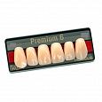 Зубы искусственные акриловые Premium 6 цвет В1 фасон R6 верх (0002) PR6B1R6