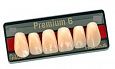 Зубы искусственные акриловые Premium 6 цвет В1 фасон S4 верх (0002) PR6B1S4